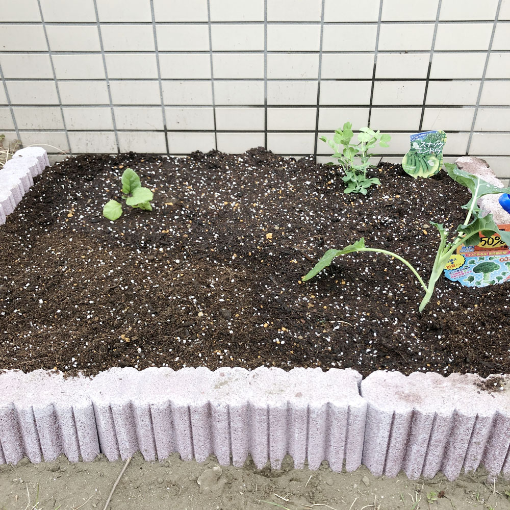 専用庭の改造 家庭菜園スペースを作りました リノベーション体験記 中古マンションをリノベしてみた